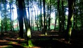 Excursión Senderismo Longpont - en forêt de Retz_39_Longpont_Villers-Cotterets_AR - Photo 15