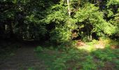 Trail Walking Longpont - en forêt de Retz_39_Longpont_Villers-Cotterets_AR - Photo 8