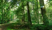 Tocht Stappen Longpont - en forêt de Retz_39_Longpont_Villers-Cotterets_AR - Photo 2