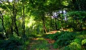 Excursión Senderismo Longpont - en forêt de Retz_39_Longpont_Villers-Cotterets_AR - Photo 7