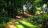Randonnée Marche Longpont - en forêt de Retz_39_Longpont_Villers-Cotterets_AR - Photo 4