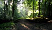 Randonnée Marche Longpont - en forêt de Retz_39_Longpont_Villers-Cotterets_AR - Photo 3