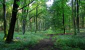 Tocht Stappen Longpont - en forêt de Retz_39_Longpont_Villers-Cotterets_AR - Photo 13