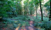 Tocht Stappen Longpont - en forêt de Retz_39_Longpont_Villers-Cotterets_AR - Photo 11