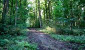 Tocht Stappen Longpont - en forêt de Retz_39_Longpont_Villers-Cotterets_AR - Photo 12