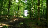 Excursión Senderismo Longpont - en forêt de Retz_39_Longpont_Villers-Cotterets_AR - Photo 20