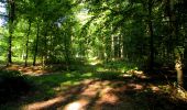 Excursión Senderismo Longpont - en forêt de Retz_39_Longpont_Villers-Cotterets_AR - Photo 18