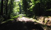 Randonnée Marche Longpont - en forêt de Retz_39_Longpont_Villers-Cotterets_AR - Photo 1