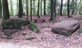 Trail Walking Meisenthal - maizenthal - soucht et environs - Photo 1