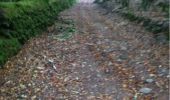 Trail Walking The Municipal District of Cahir — Cashel - Cahir Scaragh Wood Trail 3 - Photo 3