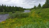 Tour Wandern Unknown - parc naturel geysir - Photo 9