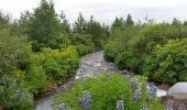 Tour Wandern Unknown - parc naturel geysir - Photo 6