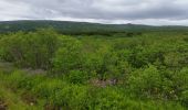 Tocht Stappen Unknown - parc naturel geysir - Photo 5