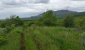 Tocht Stappen Unknown - parc naturel geysir - Photo 4