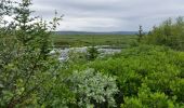 Tocht Stappen Unknown - parc naturel geysir - Photo 3