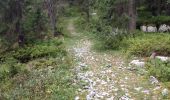 Tocht Stappen Bassins - Le Sentier des Begnines - Photo 19