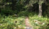 Trail Walking Bassins - Le Sentier des Begnines - Photo 18