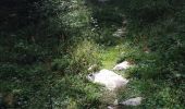 Trail Walking Bassins - Le Sentier des Begnines - Photo 16