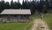 Tocht Stappen Bassins - Le Sentier des Begnines - Photo 1