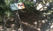 Trail Walking Vence - Vence Baou des noirs et des blancs  - Photo 17