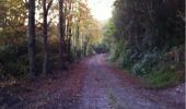 Tour Wandern The Municipal District of Cahir — Cashel - Cahir Scaragh Wood Trail 1 - Photo 2