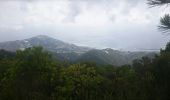 Trail Walking Seborga - SEBORGA et le Monte NERO - Photo 2