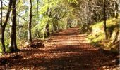 Tour Wandern The Municipal District of Cahir — Cashel - Cahir Scaragh Wood Trail 2 - Photo 7