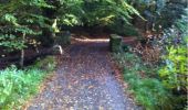 Tour Wandern The Municipal District of Cahir — Cashel - Cahir Scaragh Wood Trail 2 - Photo 1