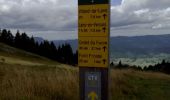 Percorso Marcia Lans-en-Vercors - pic st Michel et col de l'arc - Photo 5