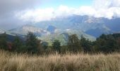 Tour Wandern Bajardo - Monte Ceppo et Crocs Di Presto - Photo 1