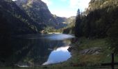 Excursión Senderismo Vouvry - Lac Tanay - Photo 9