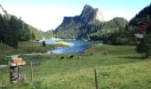 Excursión Senderismo Vouvry - Lac Tanay - Photo 5