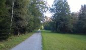 Trail Walking Saint-Martin (FR) - Sentier des arbres - St. Martin 20.09.15 - Photo 9