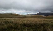 Trail Walking Murat-le-Quaire - La Banne d'Ordanche par le col de Saint Laurent - Photo 2