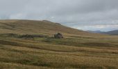 Trail Walking Murat-le-Quaire - La Banne d'Ordanche par le col de Saint Laurent - Photo 4