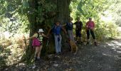 Trail Walking Cuttoli-Corticchiato - Corse-150926 - MonteAragnascu - Photo 8