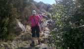 Trail Walking Cuttoli-Corticchiato - Corse-150926 - MonteAragnascu - Photo 2