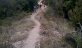 Trail Walking Cuttoli-Corticchiato - Corse-150926 - MonteAragnascu - Photo 11