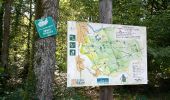 Trail Walking Dole - Sentier des chênes rouges - Photo 10