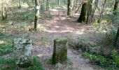 Tour Wandern Dole - Sentier des chênes rouges - Photo 4