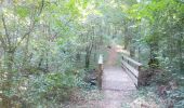 Trail Walking Dole - Sentier des chênes rouges - Photo 3