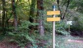 Trail Walking Dole - Sentier des chênes rouges - Photo 2