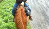 Percorso Cavallo Walcourt - wandeling 2 - Photo 5