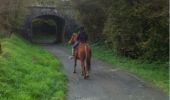 Excursión Caballo Walcourt - wandeling 2 - Photo 4