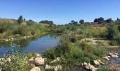 Randonnée Marche Rivesaltes - 66 RIVESALTES - promenade le long de l'Agly - Photo 10