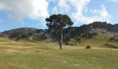 Tocht Stappen Chichilianne - chichilianne pas de l'aiguille pas des bachassons - Photo 10