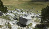 Tocht Stappen Chichilianne - chichilianne pas de l'aiguille pas des bachassons - Photo 10