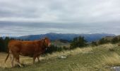 Excursión Senderismo Beuil - Tête  du Granier - Photo 1