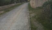 Trail Walking Lagrasse - Le pied de Charlemagne  - Photo 4