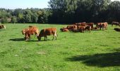 Excursión Senderismo Sebourg - Mes Hauts de Sebourg - Photo 12